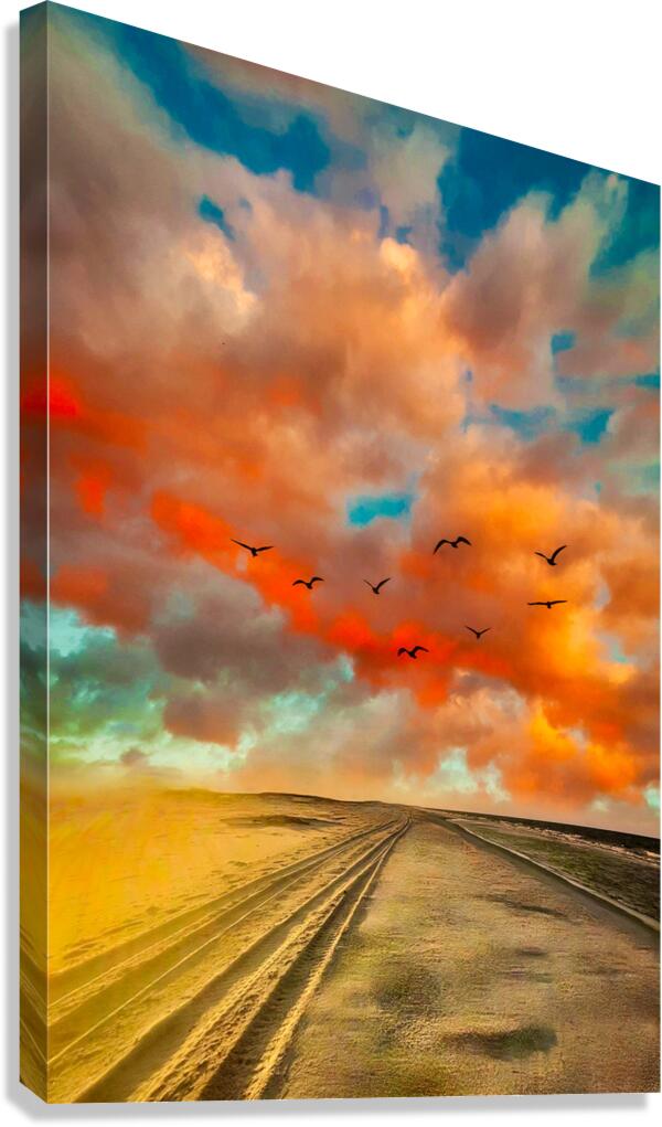 Surreal Beach Canvas Print