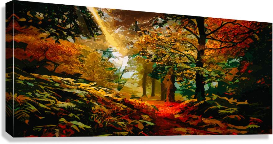 Woodland Path Canvas Print