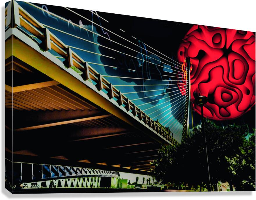 Panomanian Red Canvas Print