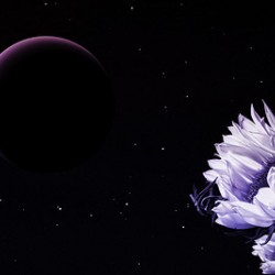 Dark Compulsions