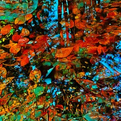 Begin Frozen Puddle Refraction