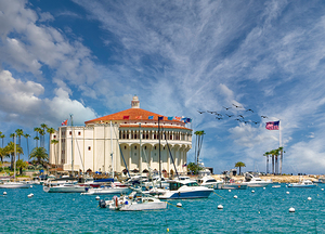 Via Casino in Avalon