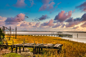 Broken PIers in Marsh