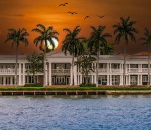 PalmsandMansion Edit