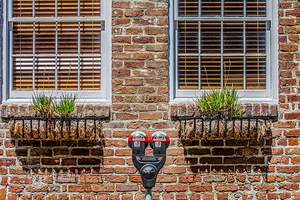 Parking Meter Between Windows