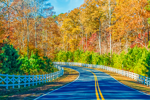 Road Curving Through Autumn Trees and White Fence