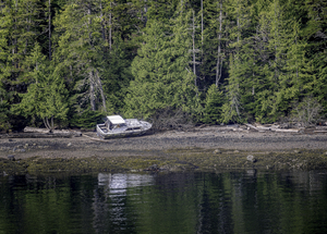 Wrecked Boat on Coast