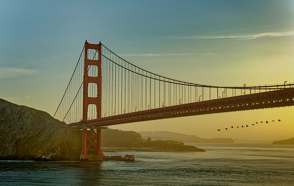 Cruise Ship in Juneau Alaska Print