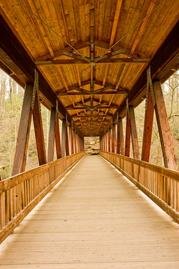Bridge Into Distance Print