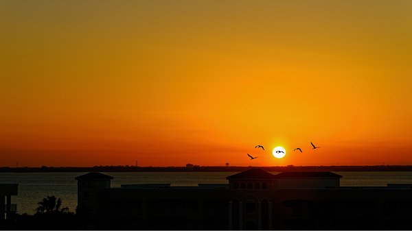 Orange Sunset Over Beach by Darryl Brooks