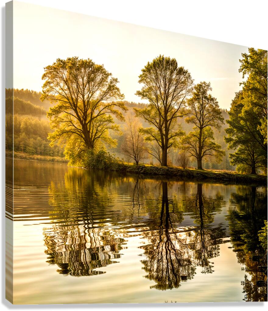 Reflection Of Trees In A Lake Canvas Print