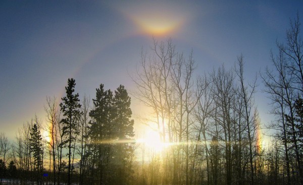 Sundogs Print