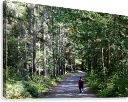 Cumberland  BC Canvas Print