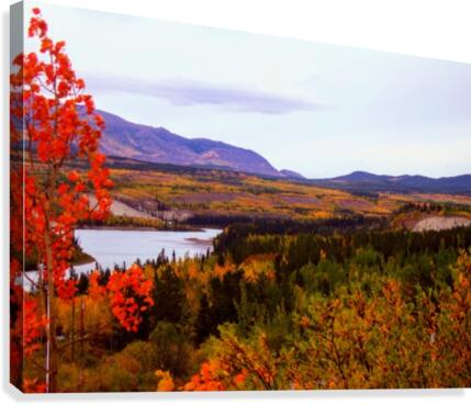 ross river Canvas Print