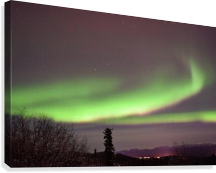 Aurora Borealis  Canvas Print