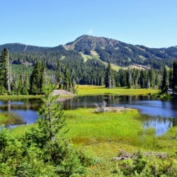 Mt Washington BC