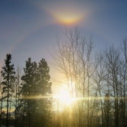 Sundogs