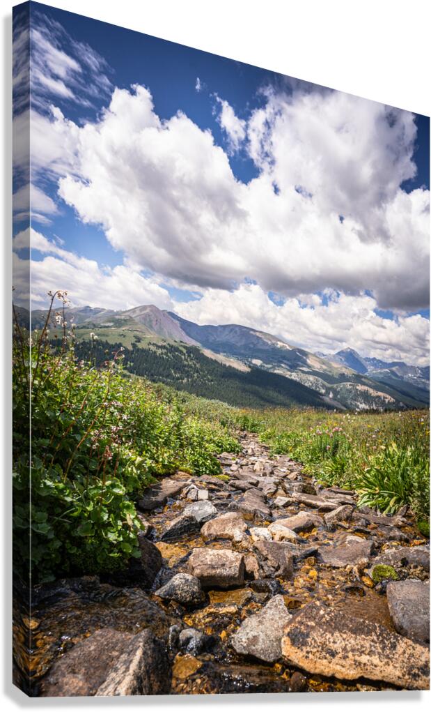 Moment of peace Canvas Print