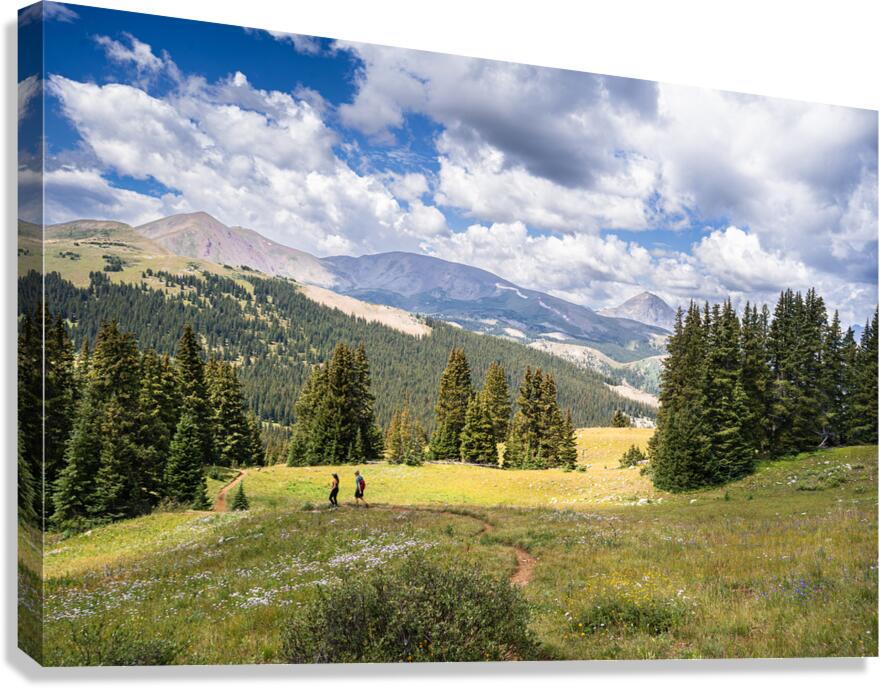RMNP Canvas Print