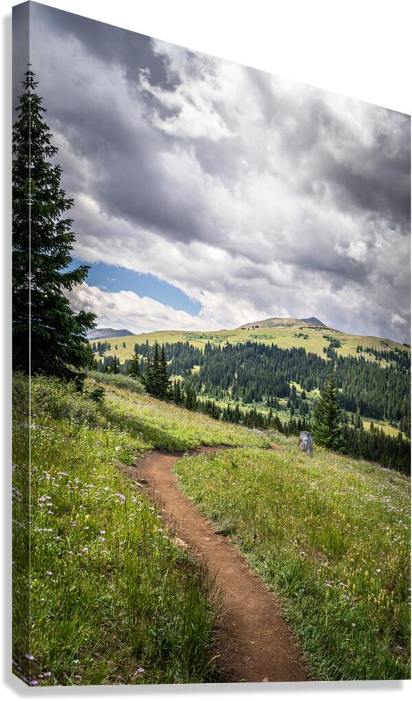 Nature  Canvas Print