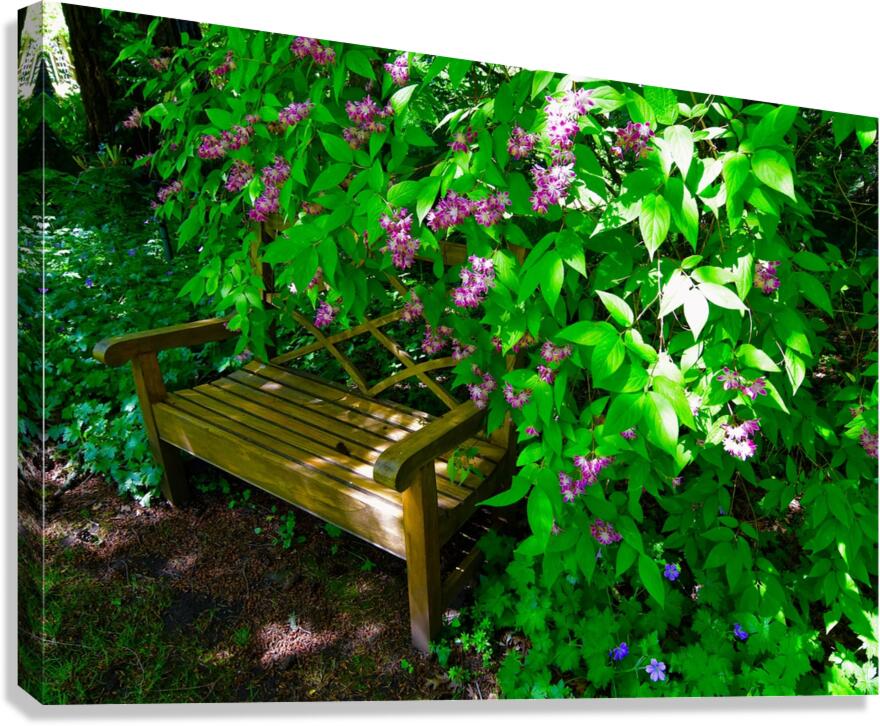 Park Bench Canvas Print