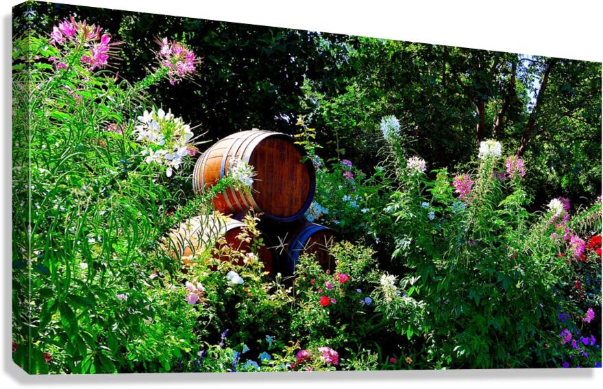  Springtime Wine Canvas Print