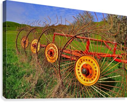 Big Wheeler Canvas Print