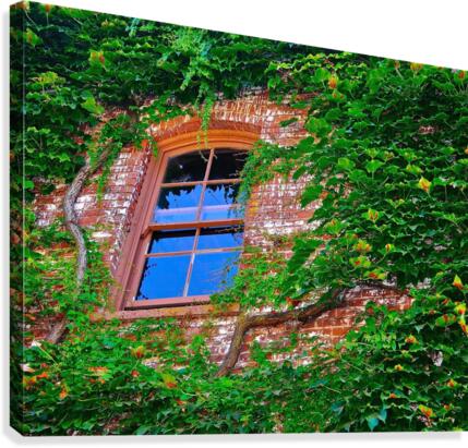 Open Window Canvas Print