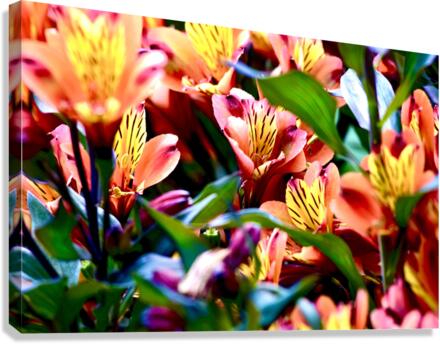 Dynamic Flowers Canvas Print