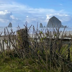 Haystack
