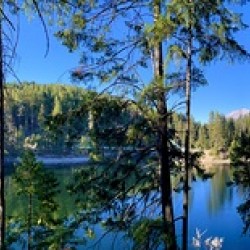 Mount Shasta