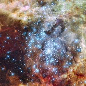 Massive Star Forming Region in 30 Doradus