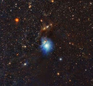 Reflection Nebula IC 2631