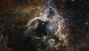 Tarantula Nebula NIRCam Image