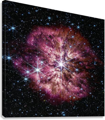 WR 124  Canvas Print
