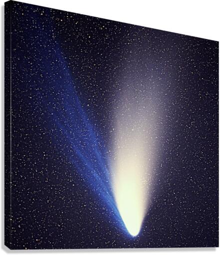 Comet Hale Bopp  Canvas Print