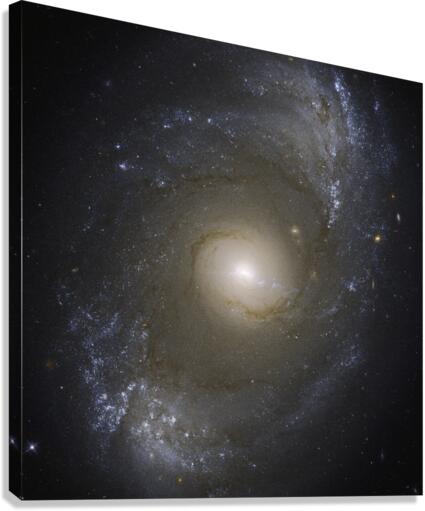 NGC 4151  Canvas Print