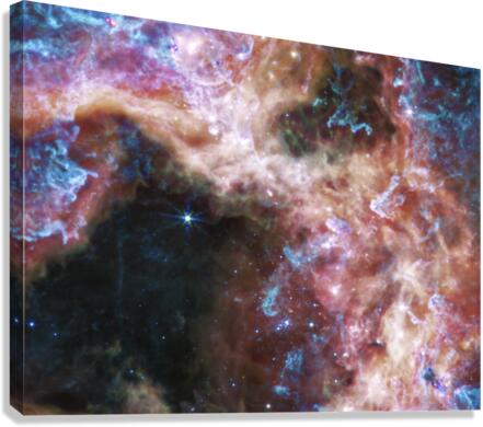 Tarantula Nebula  Canvas Print