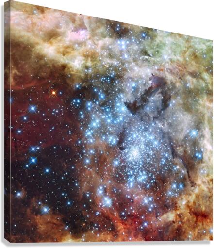 Massive Star Forming Region in 30 Doradus  Canvas Print