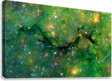 Snake in Galactic Plane  Canvas Print