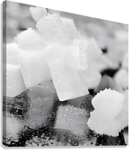 sugar Canvas Print