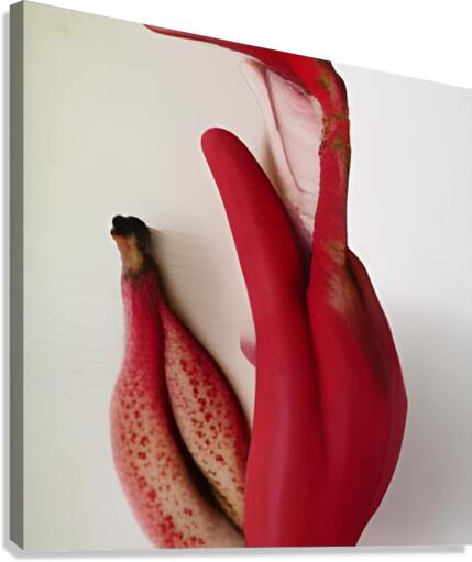 red bananas Canvas Print