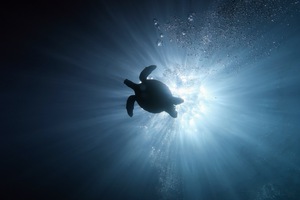 038D2D29 8C07 4D8C A5B4 805896879E46