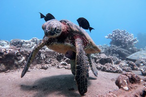 22C5ED25 8B29 42C9 9056 D9F4B35CE1B1