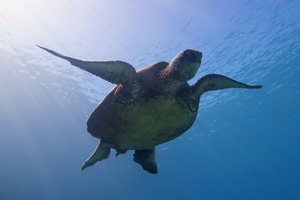 A6DDDBFD F5F2 4CE1 B5A5 CC7EAD909210