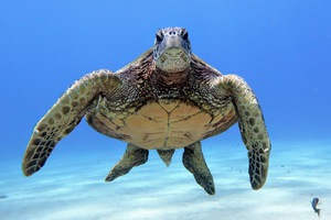 F36A7BDA 39BB 461F A663 4EC1087C2E6A