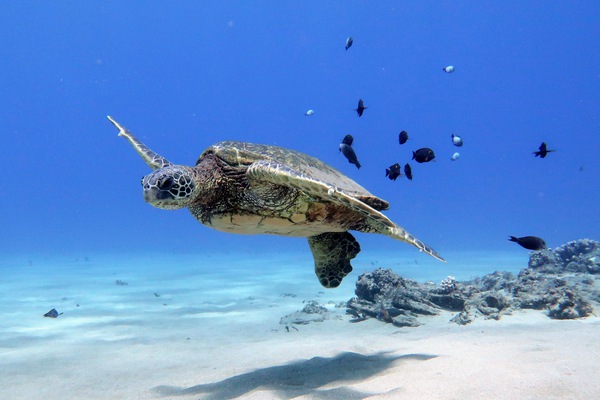 40D024B5 100E 4E9B A718 750A553A6ACD Print