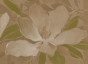 Big Magnolia Bloom