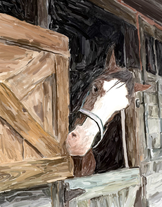 Clydesdale at the Fair 
