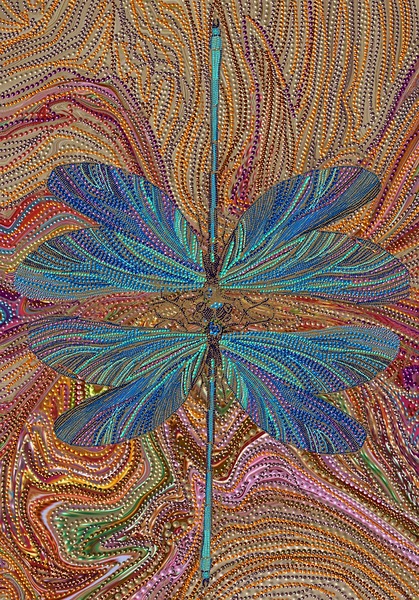 Two Dragonflies Print